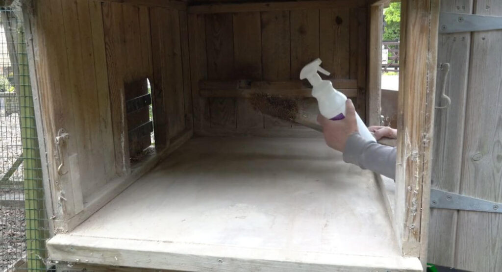 Apply a disinfectant to the coop.