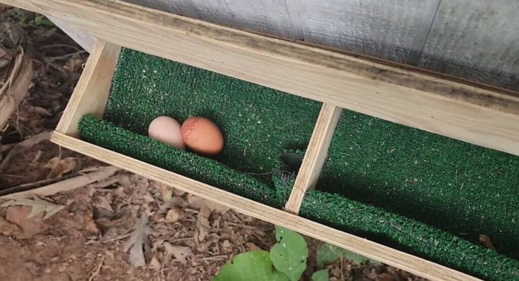 Maintenance Tips for Nesting Boxes