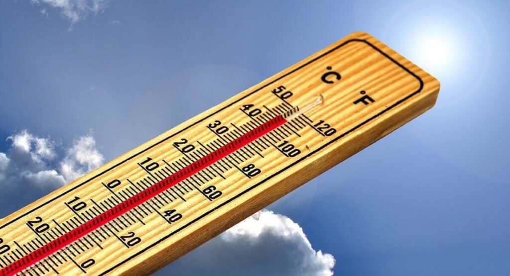 How to Keep Chickens Cool in Hot Weather
