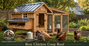 Modern backyard chicken coop with durable sloped roof, healthy hens, clean run, and weather protected nesting area