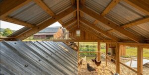 DIY backyard chicken coop roof made with corrugated metal sheets